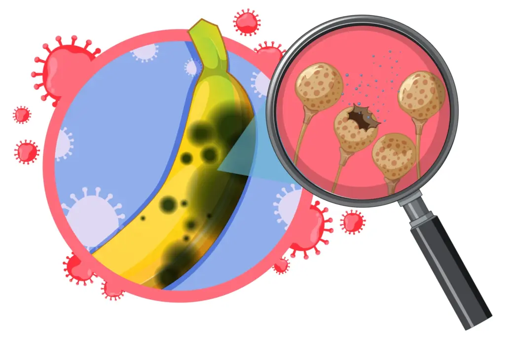 chlamydia infection treatment in indore